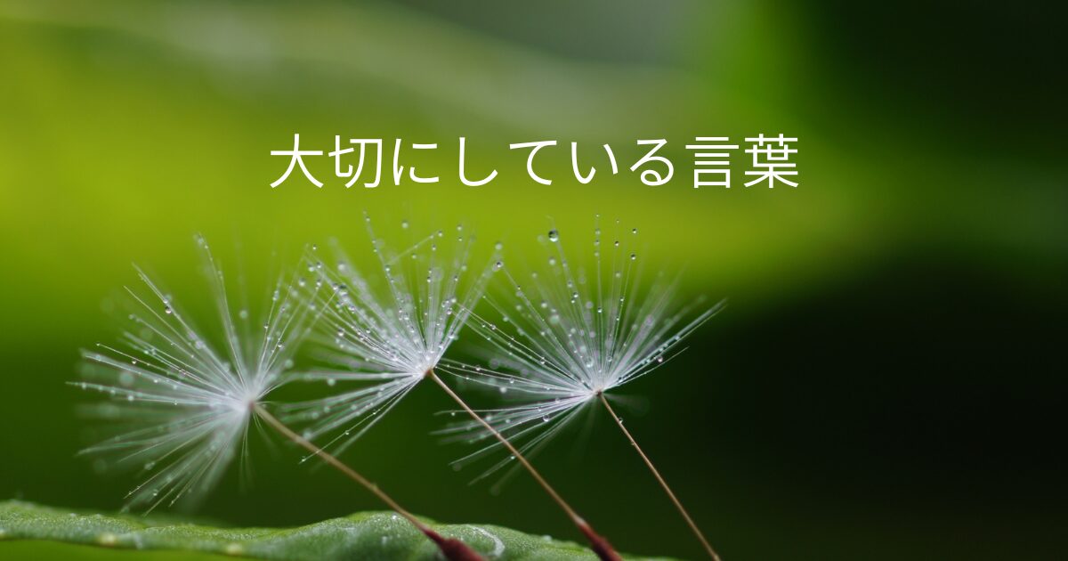 大切にしている言葉アイキャッチ画像